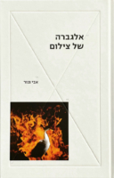 אלגברה של צילום